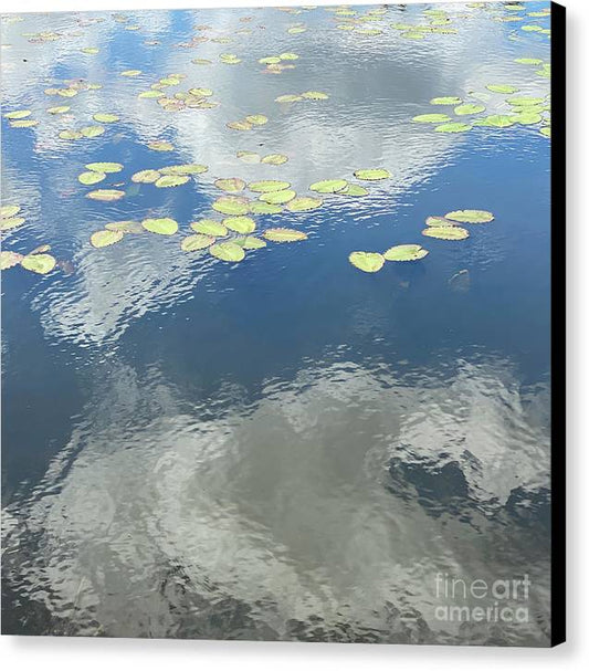 Berkshires Lily Pads 2 - Canvas Print