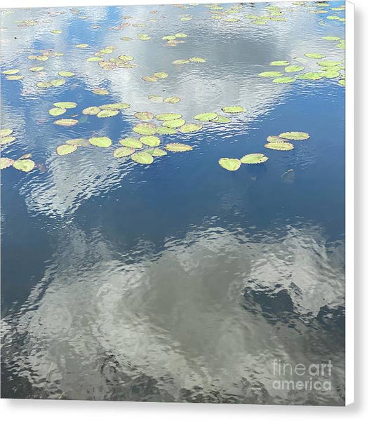 Berkshires Lily Pads 2 - Canvas Print
