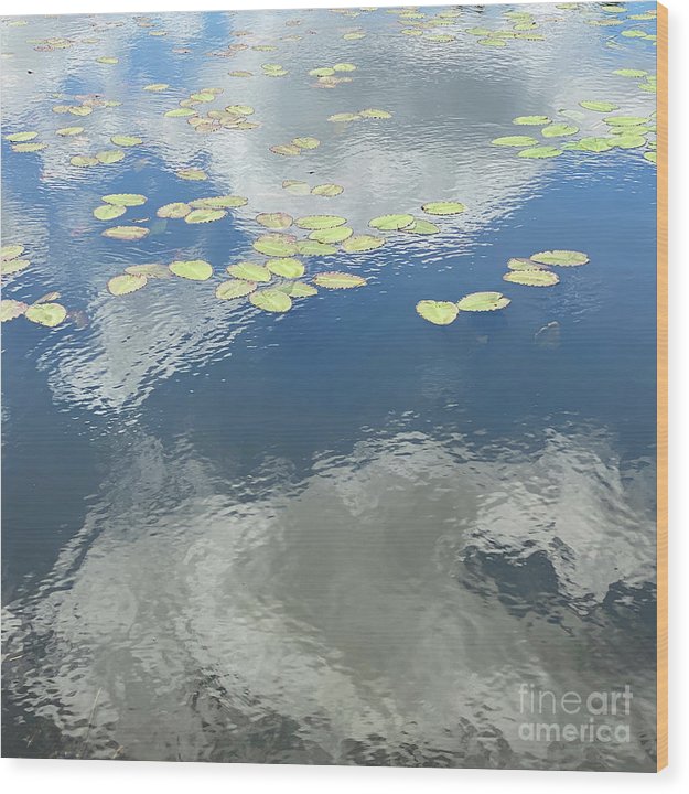 Berkshires Lily Pads 2 - Pond Lake Sky Reflection - Wood Print