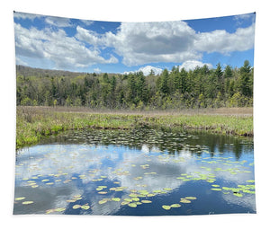 Berkshires Lily Pads Pond River Reflections- Signs of Spring - Tapestry