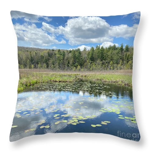 Berkshires Lily Pads Pond River Reflections- Signs of Spring - Throw Pillow