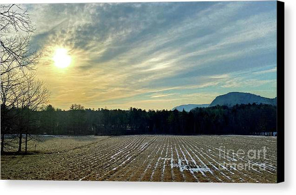 Berkshires - Morning at Gould Meadows - Field Sunrise - Canvas Print