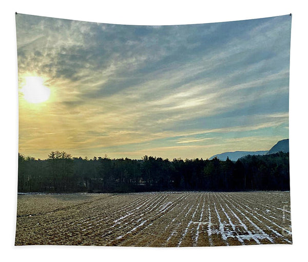 Berkshires - Morning at Gould Meadows - Field Sunrise - Tapestry