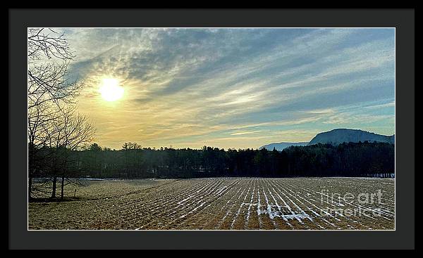 Berkshires - Morning at Gould Meadows - Field Sunrise - Framed Print