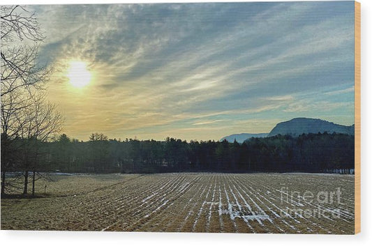 Berkshires - Morning at Gould Meadows - Field Sunrise - Wood Print