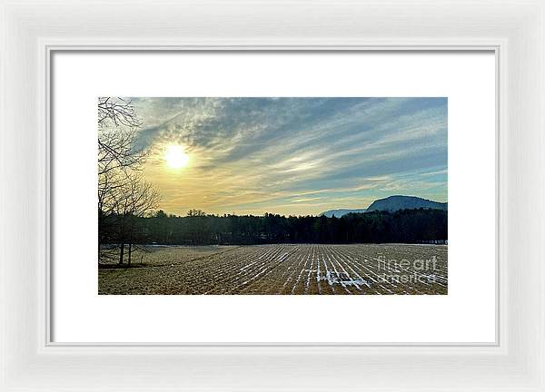 Berkshires - Morning at Gould Meadows - Field Sunrise - Framed Print