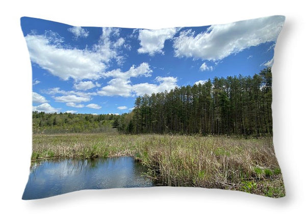 Berkshires Pond Grass 2 - Freshwater Marsh Pines - Throw Pillow