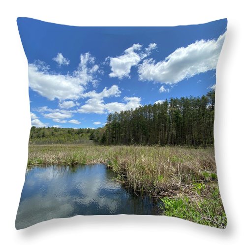 Berkshires Pond Grass 2 - Freshwater Marsh Pines - Throw Pillow