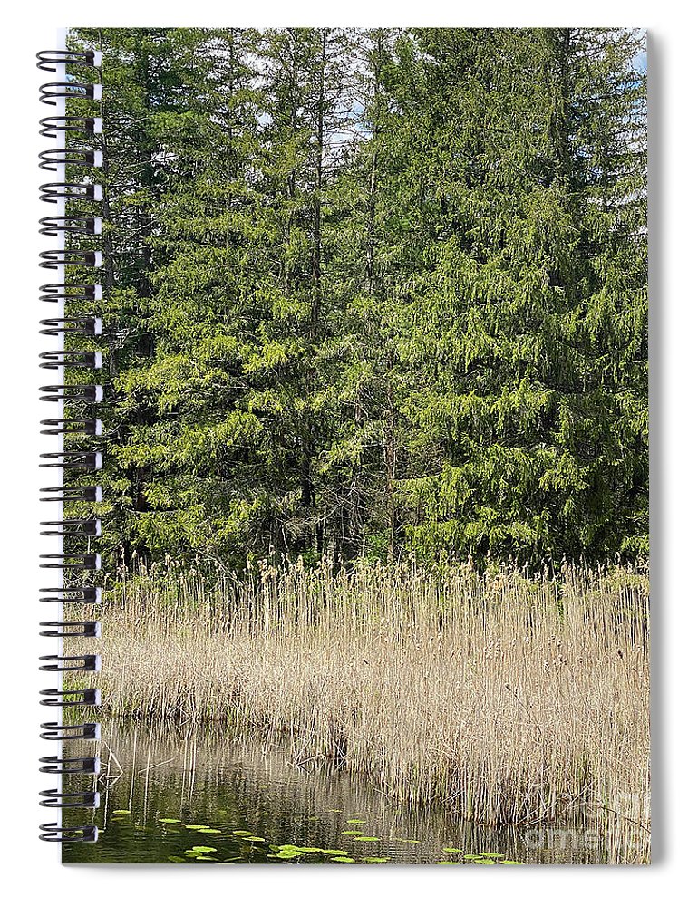 Berkshires Pond Grass - Spiral Notebook