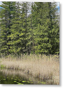 Berkshires Pond Grass - Greeting Card