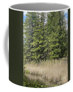 Berkshires Pond Grass - Mug