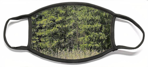 Berkshires Pond Grass - Face Mask