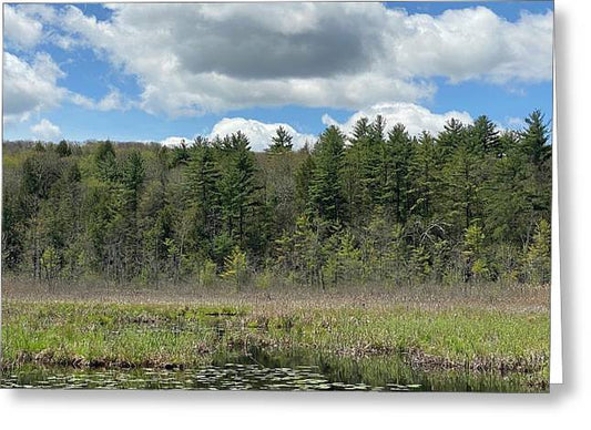 Berkshires - Stockbridge Lily Pads 5 - Greeting Card