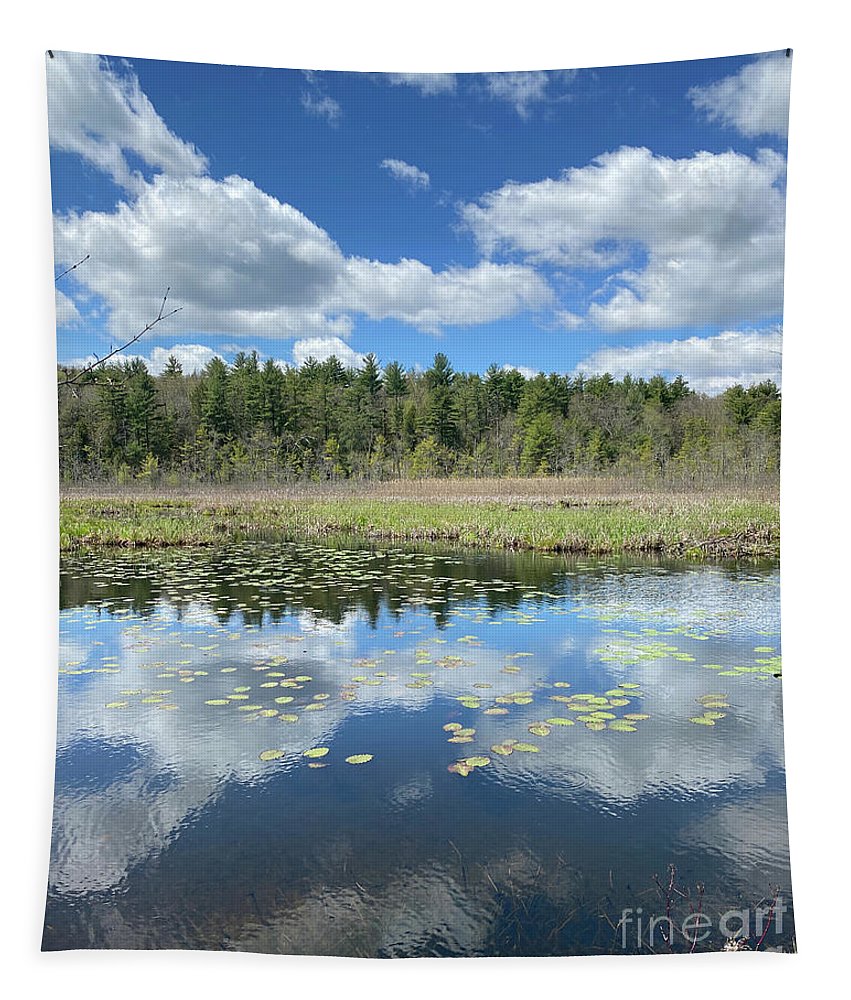 Berkshires Lily Pads 3 - Pond Lake Forest Pines Grass Spring - Tapestry