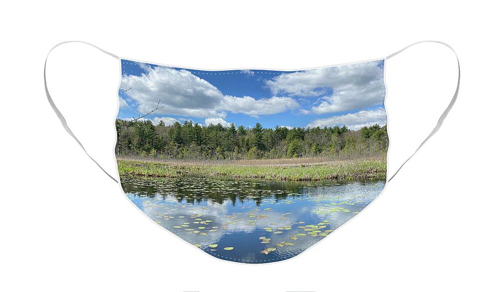 Berkshires Lily Pads 3 - Pond Lake Forest Pines Grass Spring - Face Mask